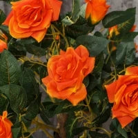 Pianta Finta di Rosa da 21 Fiori con Vaso Riempito in Cemento e Muschio, Ø18x90 cm, Arancione