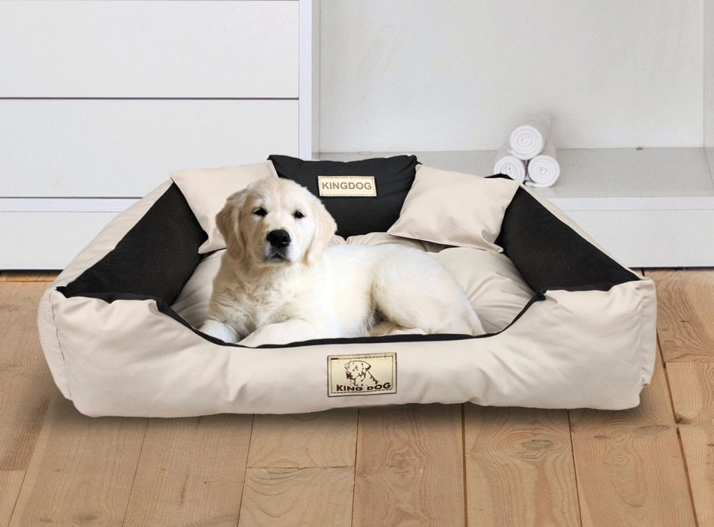 AIO FACTORY 130x105 cm KINGDOG Cuccia per cani impermeabile personalizzabile Beige