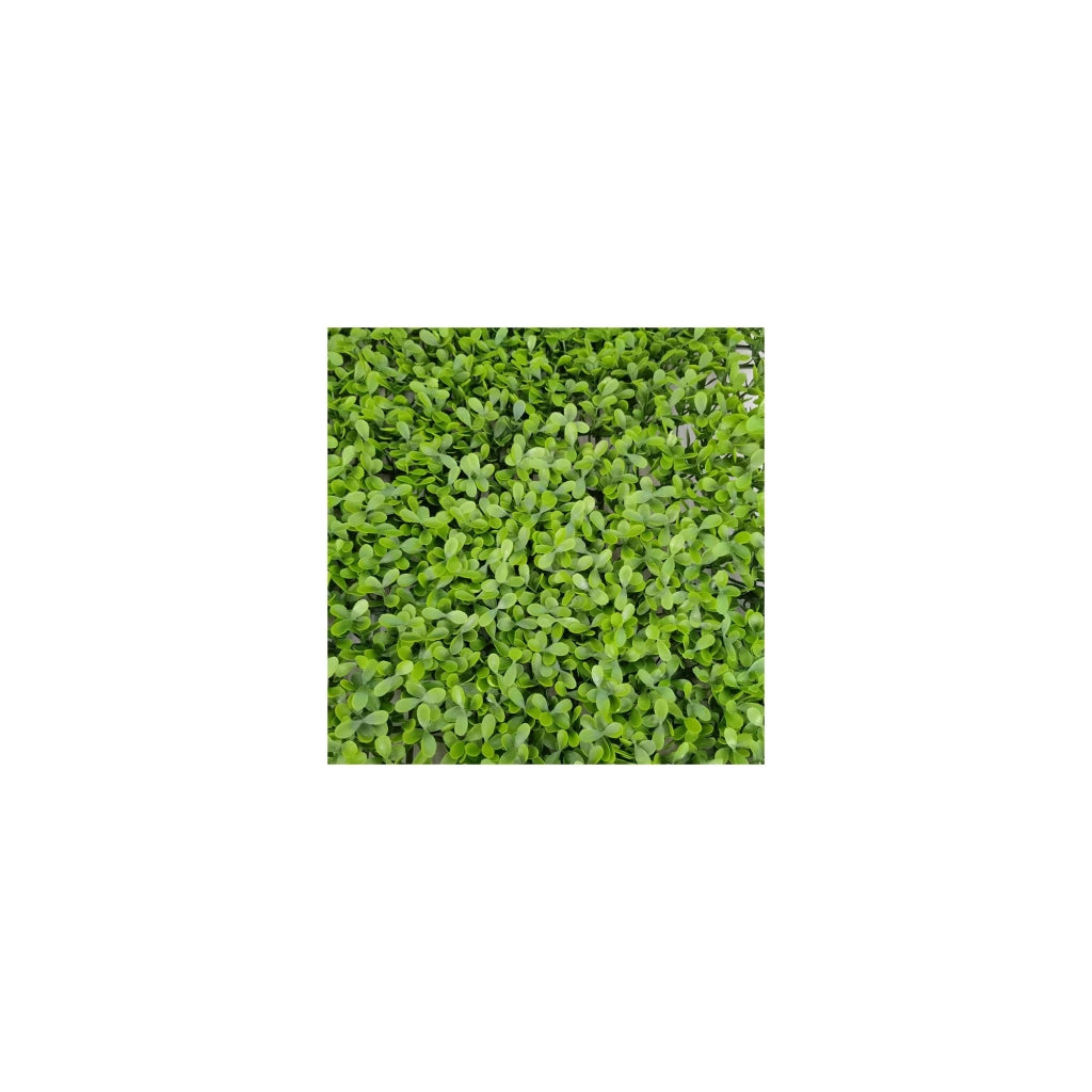 Pianta artificiale da parete - Modello verde - Dimensioni : 50 x 50 cm