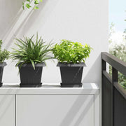 Vaso quadrato per fiori 24 pcs Nero 20 x 20 x 16 cm Plastica