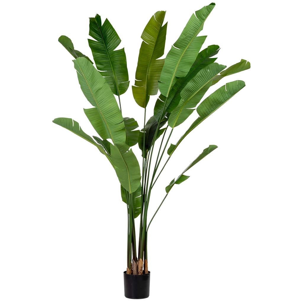 Sterlitzia decorativa artificiale con 18 foglie verde 95x95x240
