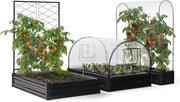 Kit Completo di 3 vasche modulari in Metallo per orto e Serra di pomodori + Traliccio + Copertura