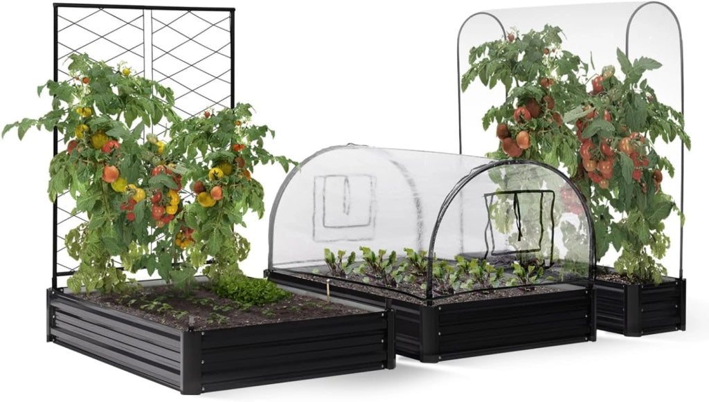Kit Completo di 3 vasche modulari in Metallo per orto e Serra di pomodori + Traliccio + Copertura