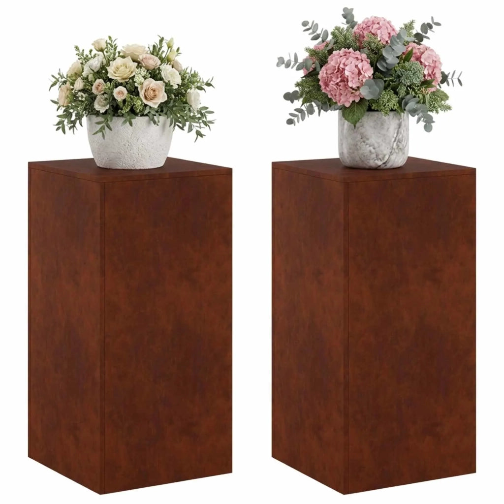 Supporto per piante 2 pcs Ruggine 40 x 40 x 80 cm 8012557