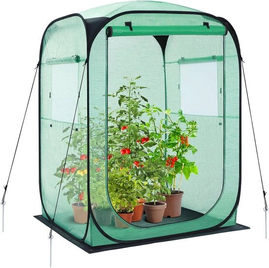Serra di Coltivazione aeree per Pomodori con Copertura in PE e Serra di Ingresso per Coltivazione di Pomodori in Inverno