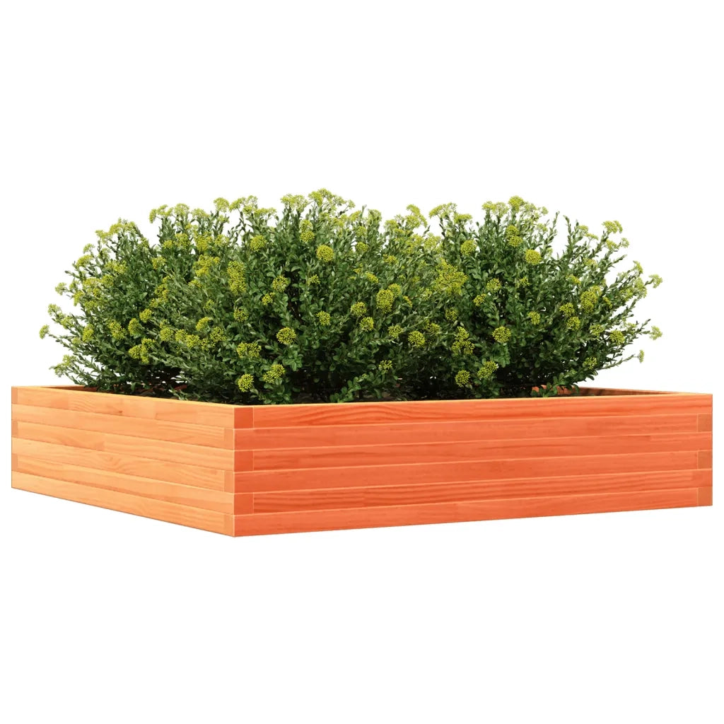 Fioriera Giardino Marrone Cera 110x110x23cm Legno Massello Pino 847215