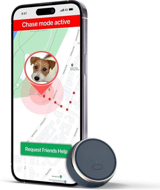 Tracciatore GPS per Animali di Compagnia - Tracciatore GPS per Gatti - Tracciatore GPS per Animali di Casa - Tracciatore GPS per Gatti - Tracciatore GPS per Animali di Casa