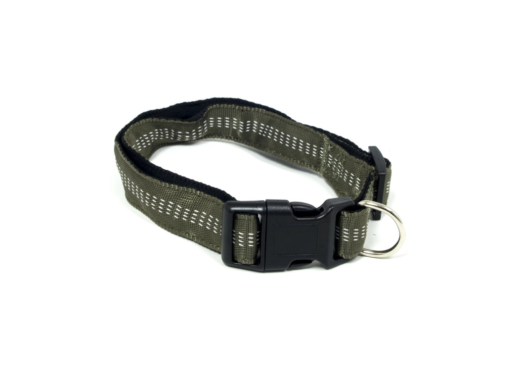 Comodo E Resistente Collare Per Cani Regolabile Modello Color Doggy - S - Verdone