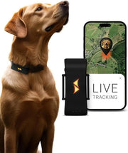 Trasmettitore GPS per Animali Domestici - Trasmettitore GPS per Gatti