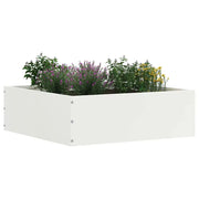 Bordura per Prato Bianco 40 x 40 x 13 cm Acciaio CFW8393609