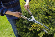 Taglierina per erba, motore per giardino, taglierina per giardino, taglierina per giardini