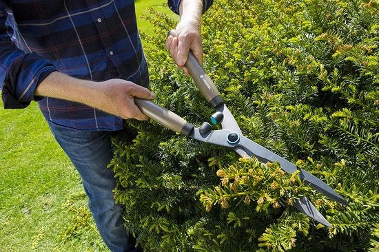 Taglierina per erba, motore per giardino, taglierina per giardino, taglierina per giardini