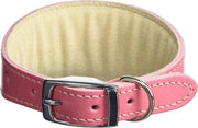 Collare per Cane Whippet - Adattabile 19 mm di Larghezza - Adatto a Cervelli da 25 a 30 cm