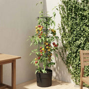 Coltivatore di pomodori Nero Ø 32 x 127 cm PP 42033416