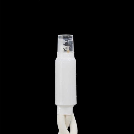 Catena bianca luminosa Luce BLU 10 metri 100 led con 10 FLASH Bianco Fredda luci di Natale da esterno ip44 - ZENCOCCO