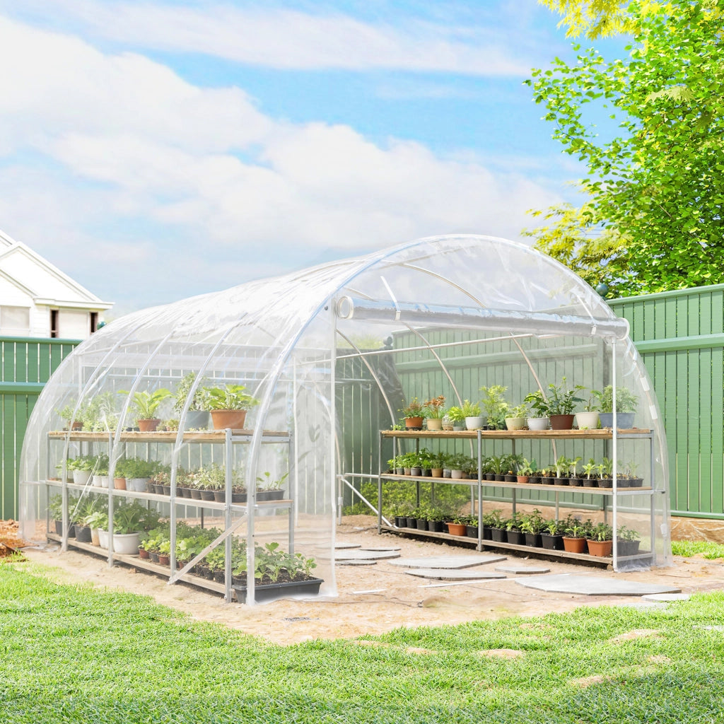 Serra da giardino in acciaio zincato con copertura in PE UV resistente ¨C zephmum ¨C trasparente