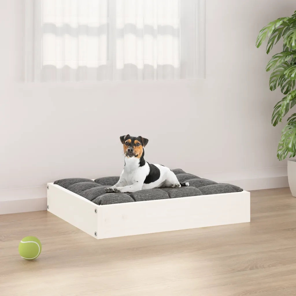Cuccia per Cani Bianca 51,5x44x9 cm in Legno Massello di Pino 820847