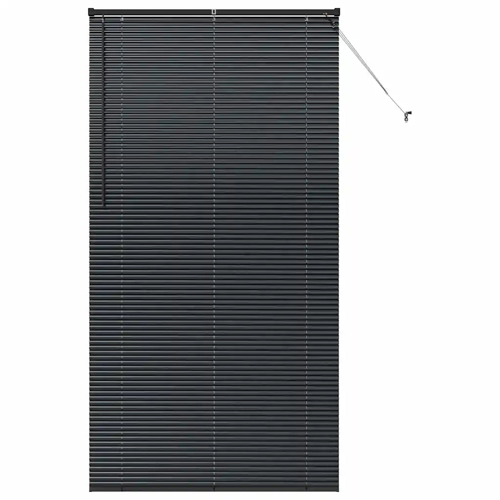 Tendaggi a Veneziana | Tenda a lamelle Nero 220 x 110 cm Alluminio