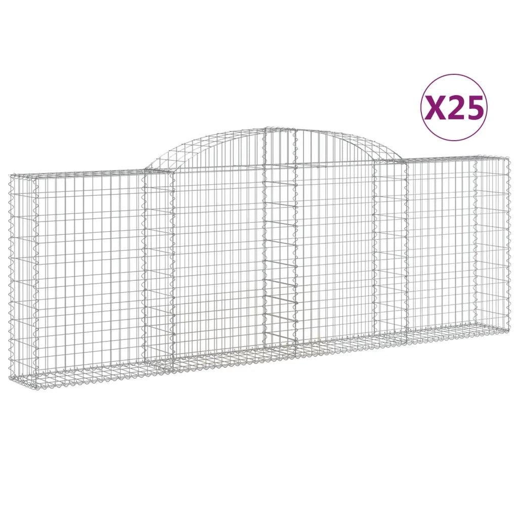 Cesti Gabbioni ad Arco 25 pz 300x30x100/120 cm Ferro Zincato 3146536