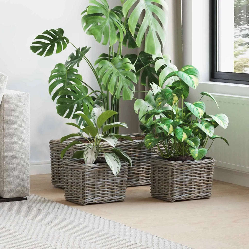 Cestino da Vaso con archiviazione 3 pcs Grigio Rattan Kubu 42020965