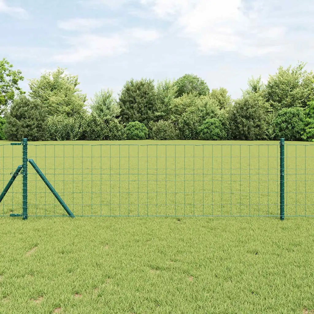 Recinzione Euro Verde 0,8 x 10 m Ferro rivestito in PVC 42004356