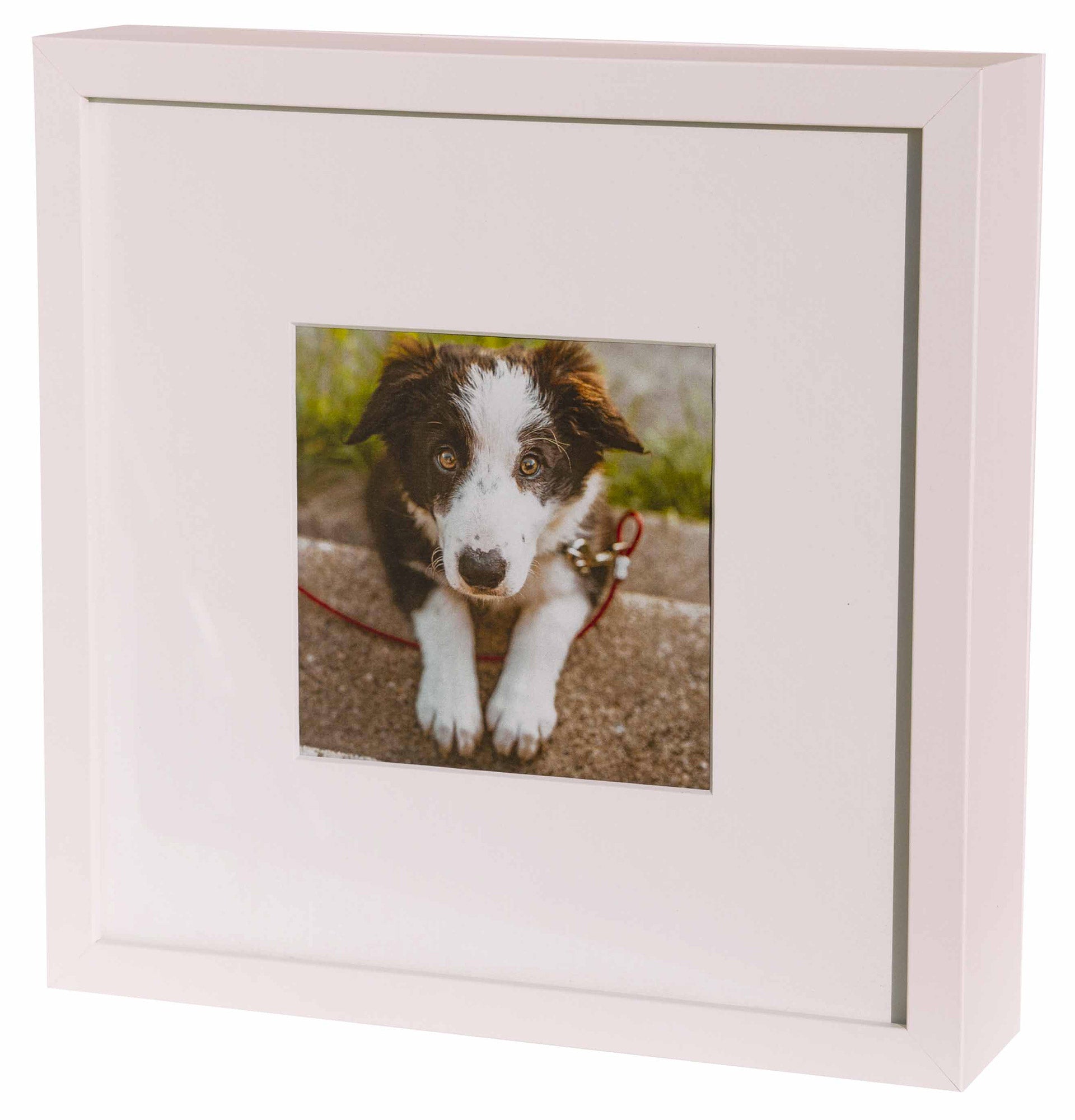 Urna Cineraria a Forma di Cornice per Animali 27x27x6cm GMF