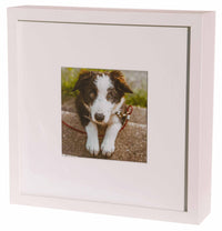 Urna Cineraria a Forma di Cornice per Animali 27x27x6cm GMF