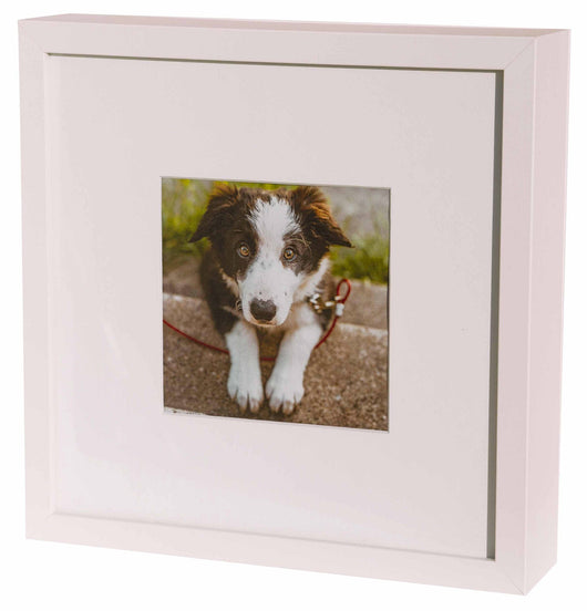 Urna Cineraria a Forma di Cornice per Animali 27x27x6cm GMF