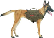 Zak da Dog 2.0 per campeggio e escursione con cani grandi M/L - verde L