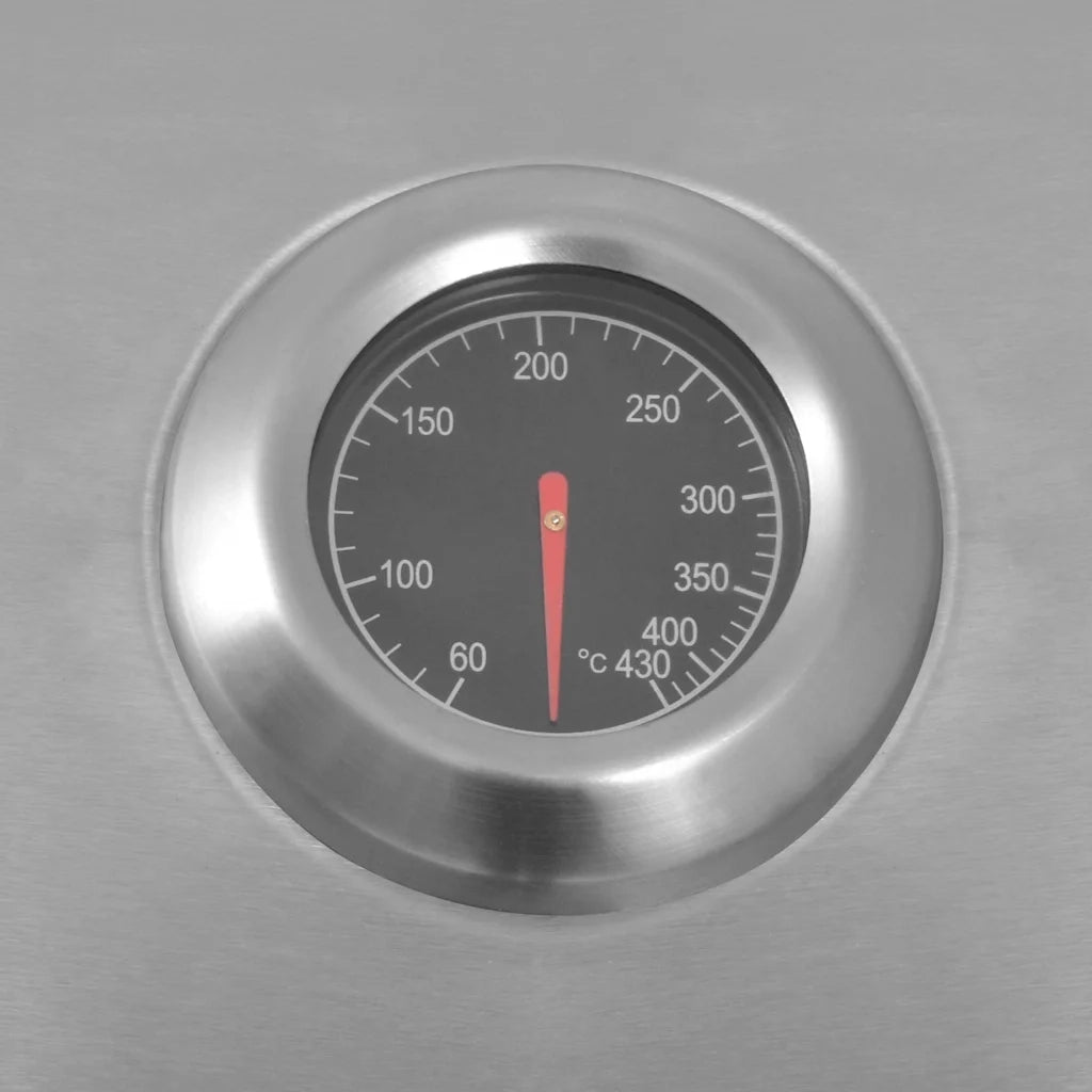 vidaXL Griglia Barbecue a Gas Argento Acciaio inossidabile