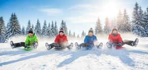 Disco Slittino da Neve 60x60x12 cm 1 Posto Meteor Vari Colori