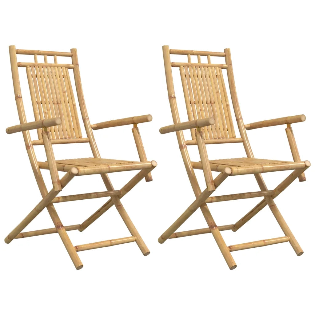Sedie da Giardino Pieghevoli 2 pz 53x66x99 cm in BambÃ¹
