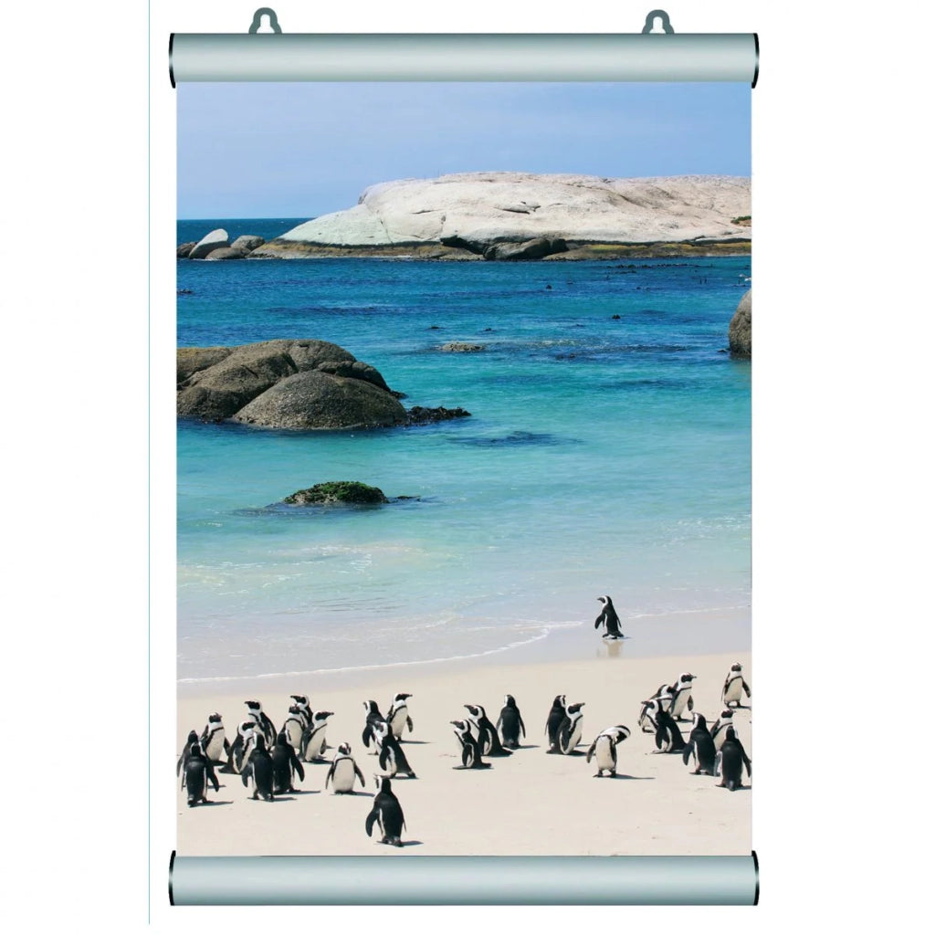 Poster frames profili porta poster snap online - 50 CM
