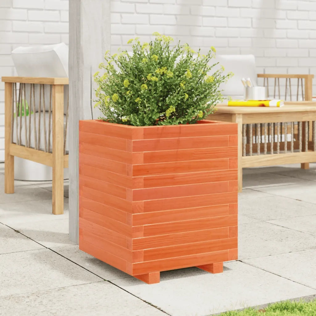 Fioriera | Cassetta per fiori | Vaso Giardino Marrone Cera 40x40x49,5cm Legno Massello Pino