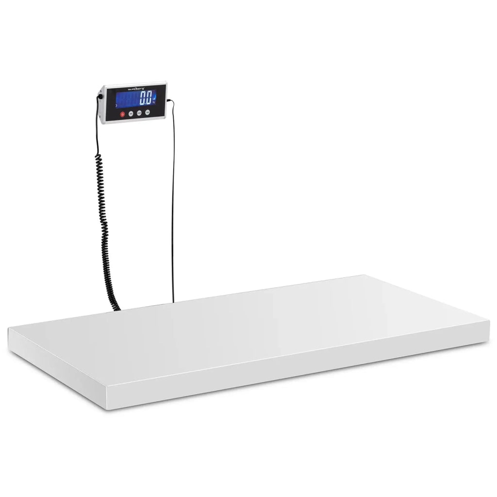 Bilancia da pavimento professionale 500 kg / 100 g 1000 x 500 mm LCD acciaio 14_0008319