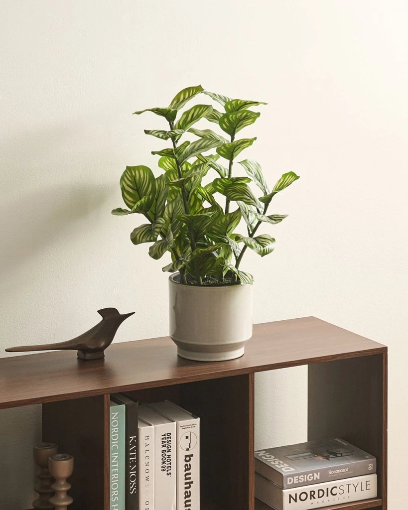 Pianta artificiale in vaso, materiale sintetico verde, 50 cm, accessorio decorativo da interno