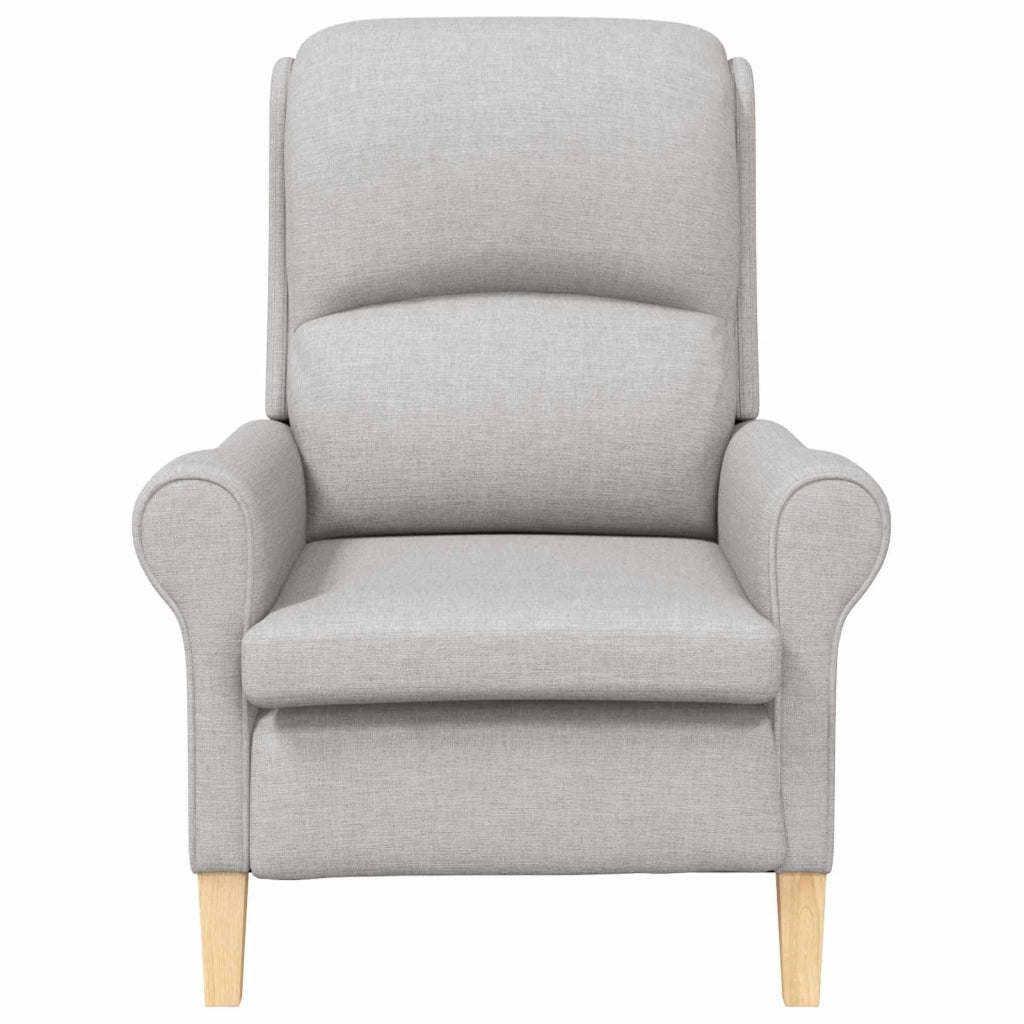 Poltrona-Divano Sedia-Poltroncina Grigio nuvola Tessuto 947228