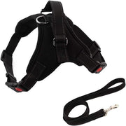 Set di Cinture di Riflessione per Cani Adattabili - Resistente - Riempito - con Manubrio - per Piccoli - Medi - Grandi Cani - Allenamento e Escursioni