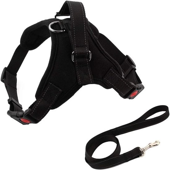 Set di Cinture di Riflessione per Cani Adattabili - Resistente - Riempito - con Manubrio - per Piccoli - Medi - Grandi Cani - Allenamento e Escursioni