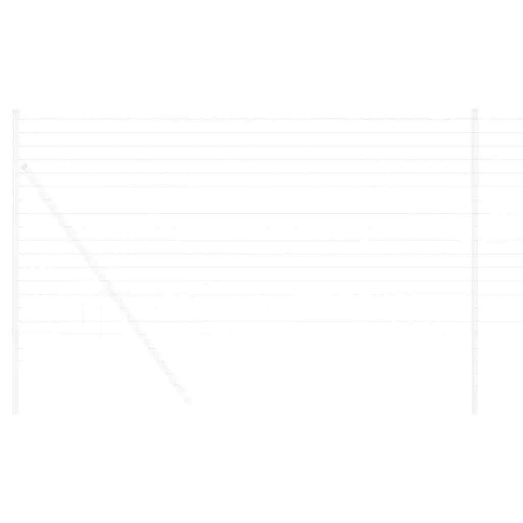 Recinzione Euro 1 x 25 m Ferro rivestito in PVC 42004669