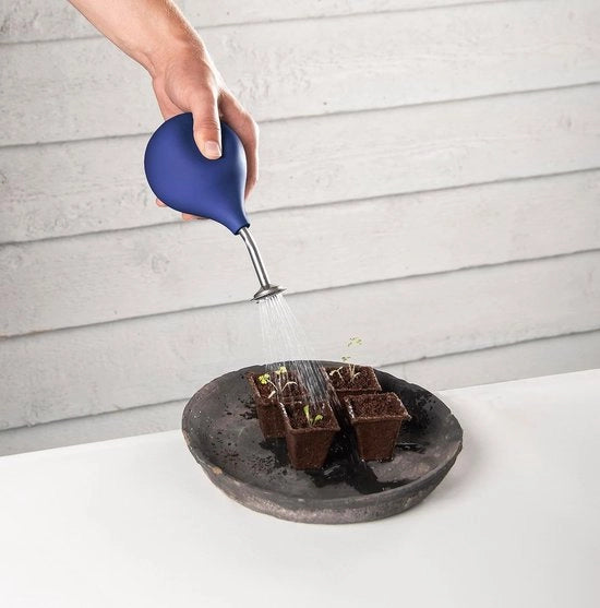 Giocatore di acqua per piccole piante - adatto per steli e semi di piante - blu - acciaio inossidabile
