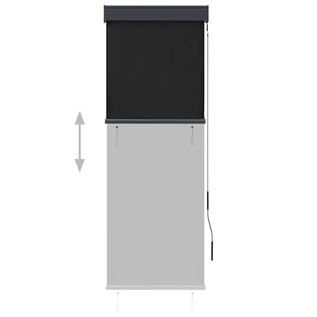 Tenda a Rullo per Esterni-Tenda da sole avvolgibile 60x250 cm Antracite