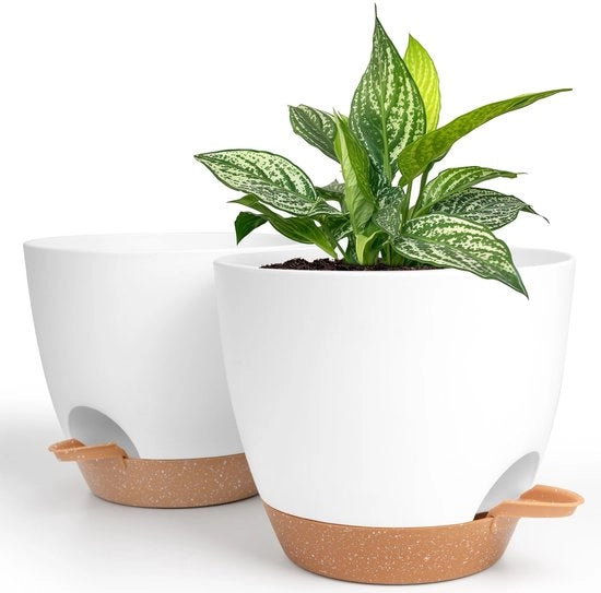Pianta Autoirrigante 20 Cm - 2-Pack - Bacinella in Plastica - Fessure di Drenaggio - Serbatoio d'Acqua - Per Piante da Interno/Esterno - Bacinella per Piante