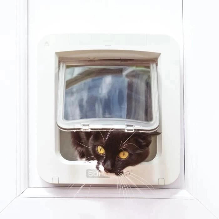 lembo Microchip cat