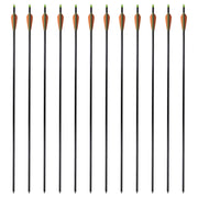 Frecce per Arco Composito Standard 12 pz 30" 0,8 cm Fibra Vetro 90855