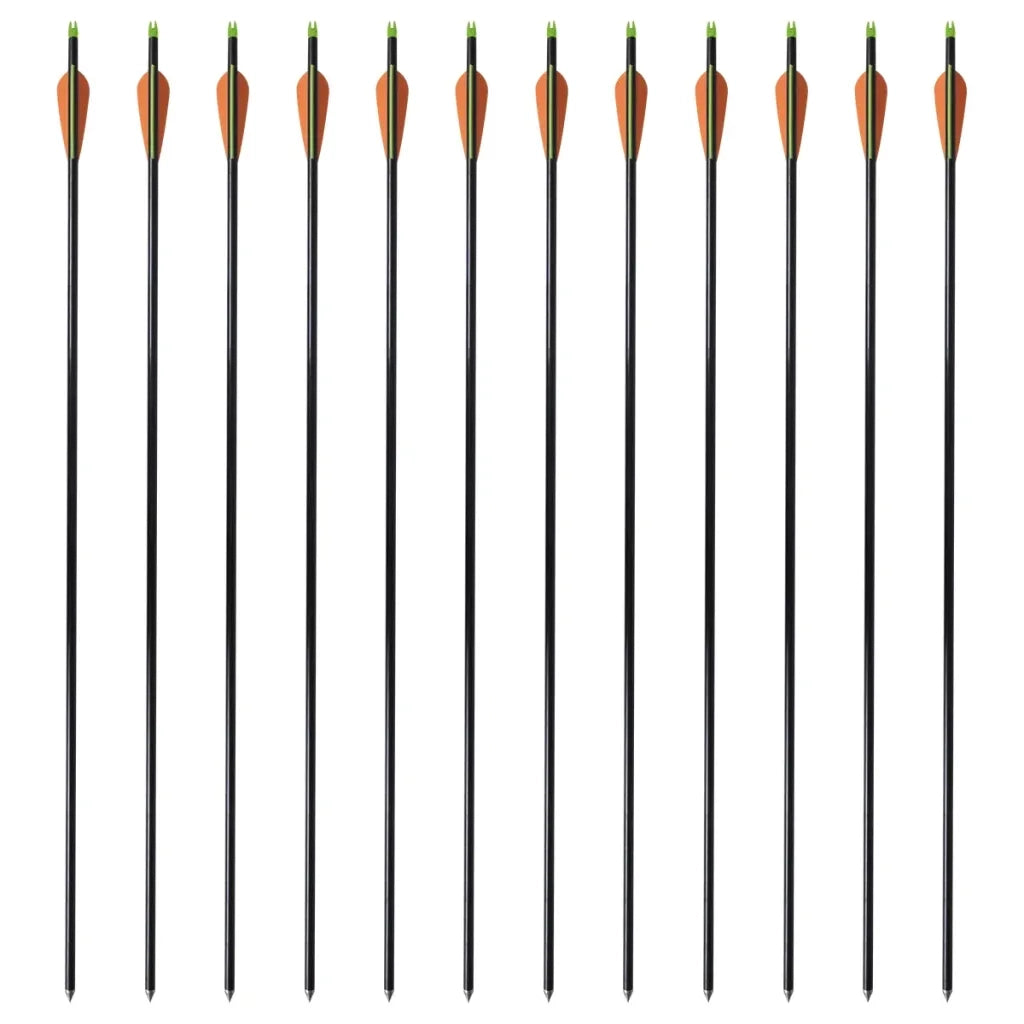 Frecce per Arco Composito Standard 12 pz 30" 0,8 cm Fibra Vetro 90855