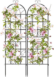 Traliccio da Giardino in Metallo 180 x 50 CM, Set di 2/4 Pannelli di Recinzione da Esterno per Piante Rampicanti, Decorazione Esterna per Giardino, Cortile e Patio (2 Pannelli)