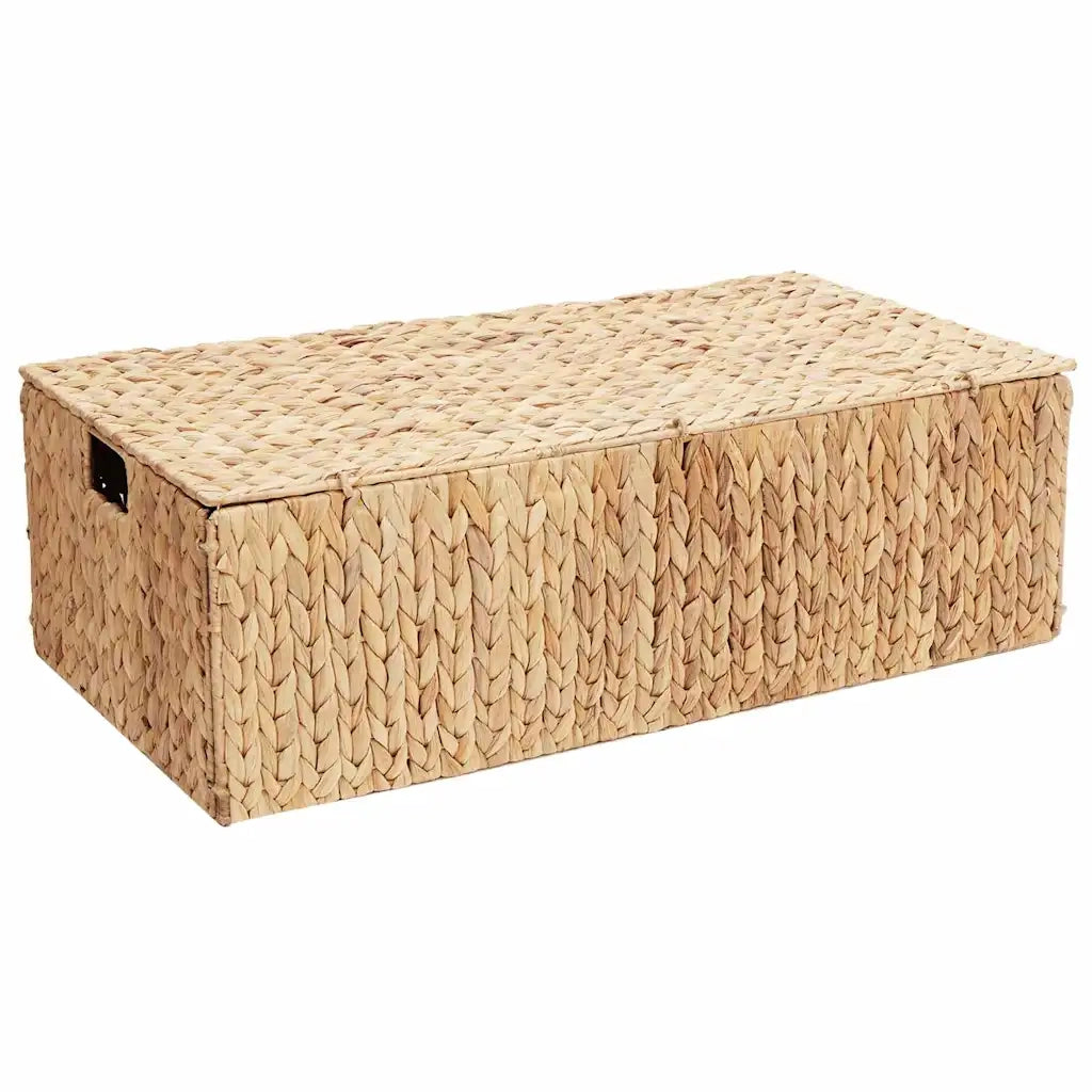 Scatola di Stoccaggio Naturale 60 x 38 x 20 cm Giacinto d'acqua 42020145