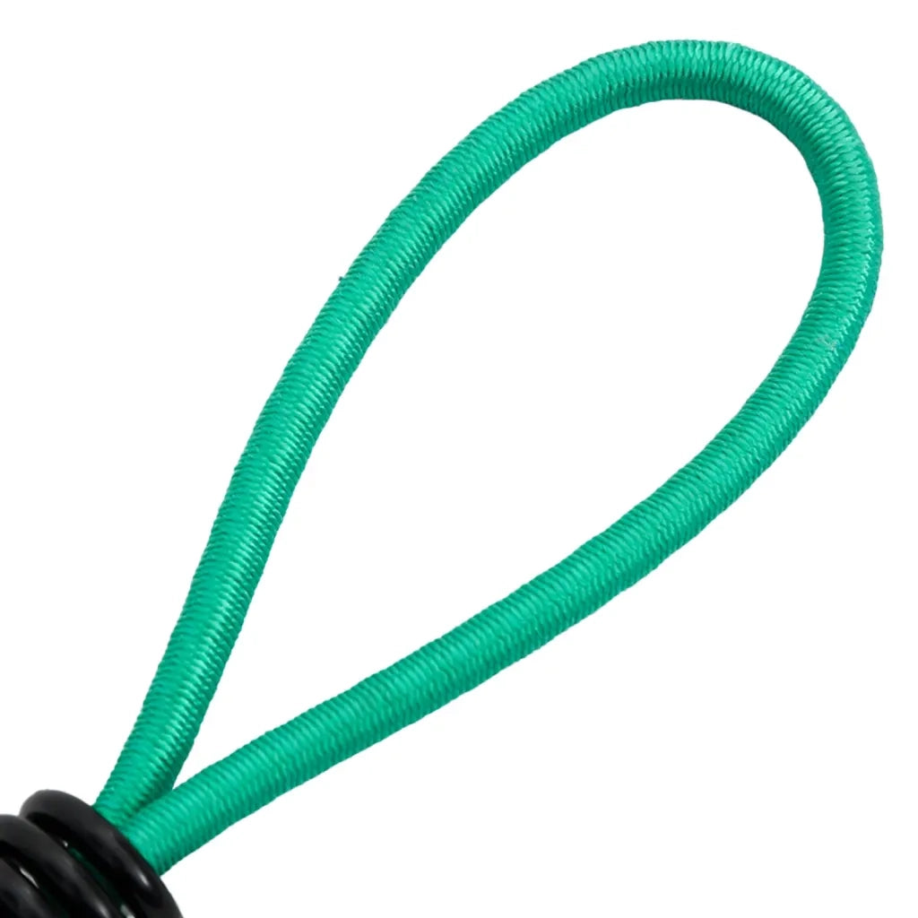 vidaXL Corde Elastiche con Ganci 20 pz 15 cm