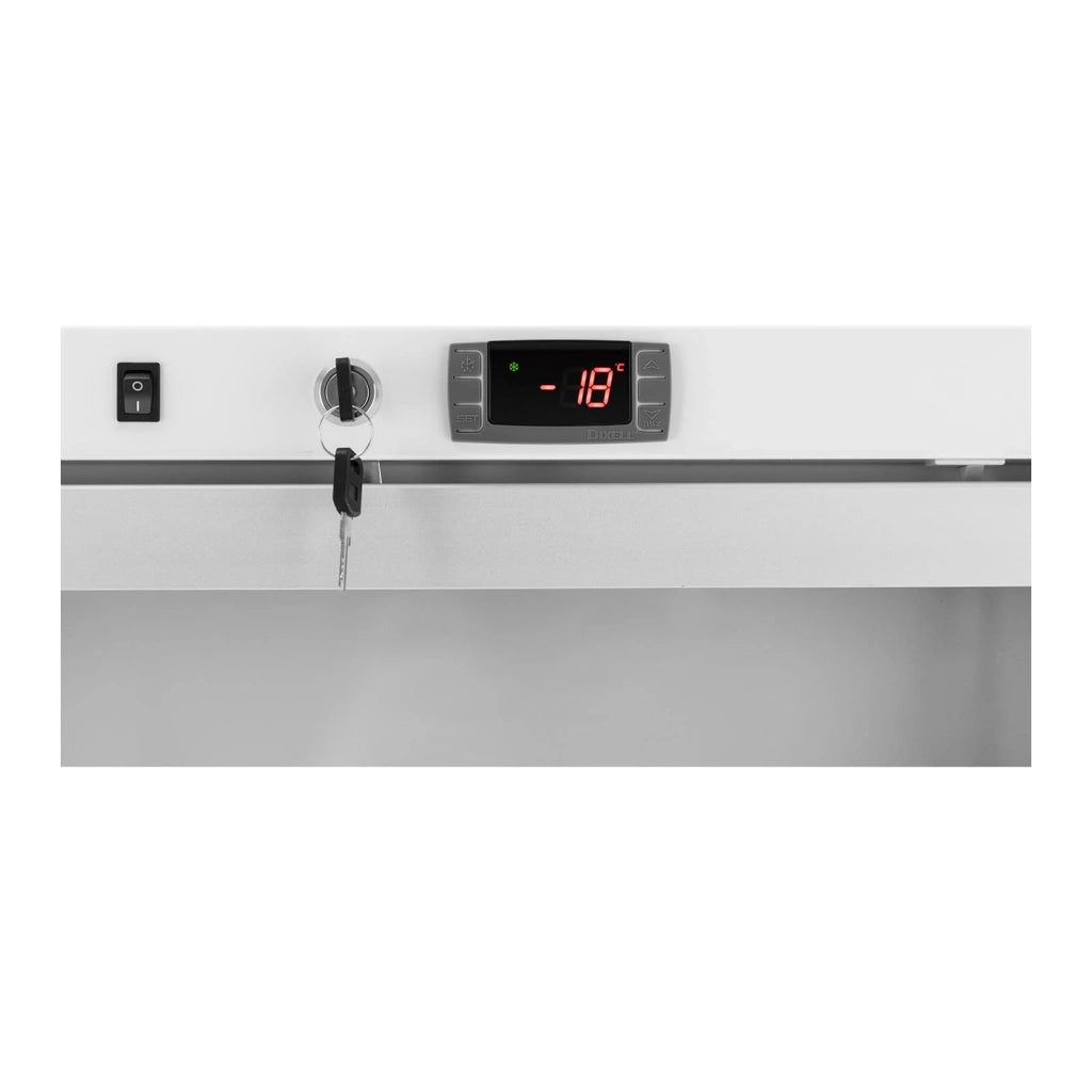 Congelatore verticale di grandi dimensioni con refrigerante R290 di grande capacità (volume: 580 litri, potenza: 492 watt, porta con doppio vetro) 14_0005260